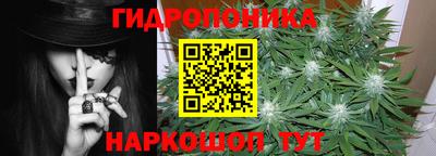 2c-b Гатчина