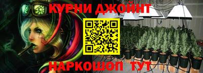 гашик Волжский