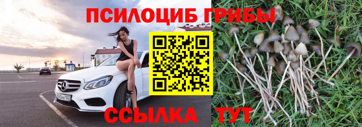Минеральные Воды  Галлюциногенные грибы прущие грибы  Вход с VPN  Псилоцибиновые грибы Cubensis 