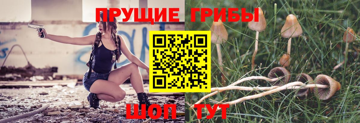 Псилоцибиновые грибы Psilocybine cubensis Минеральные Воды